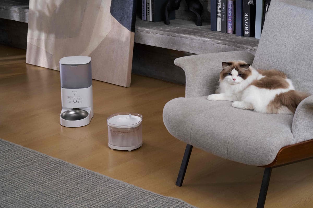 HomerunPET Smart Pet Feeder PF20 — оригинальное изображение