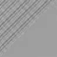 Silver Leaf