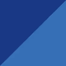 Blue Berry